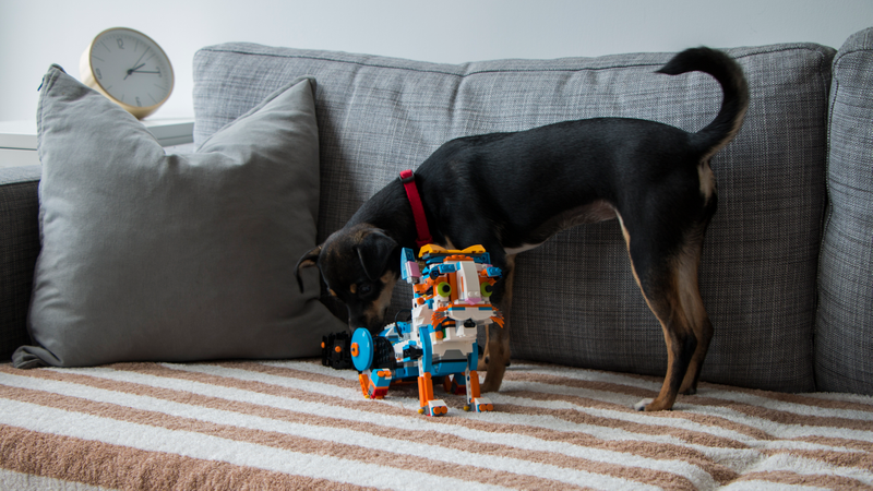 Guess which house pet is built out of Lego.